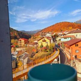 Apartament Erika Premium Sinaia cu acces zona spa contra cost