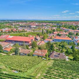 Weinbergnest