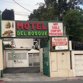 Hotel Del Bosque