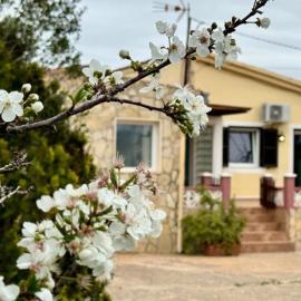 Finca Can Jan