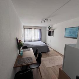 1-Zimmer Wohnung Marzili Bern