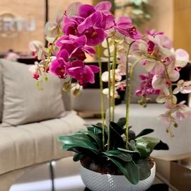 Cozy Studio Unit @Ciputra World Surabaya