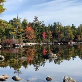 Beautiful Maine Retreat 4 Bdrm Lakeside Cottage，Surry的飯店