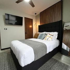 Private Suite with bathroom and top amenities