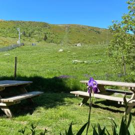 la grange des roches, hotell i Albepierre-Bredons