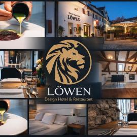 Design Hotel & Restaurant Löwen，烏爾姆的飯店