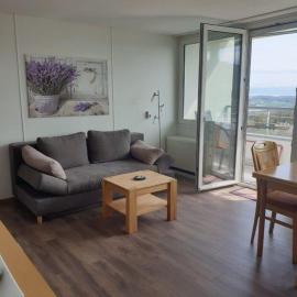 Appartement mit schöner Weitsicht auf Bodensee und Berge mit Indoorpool