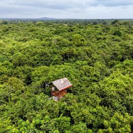 Tree Trails Sigiriya