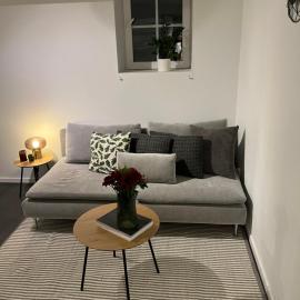 Newly renovated apartment close to city center