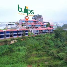 Tulips Resorts - Elkhill, Hotel in Udagamandalam