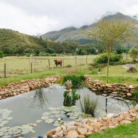 The Hamlet, Hotel in Swellendam