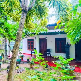 Sigiri Dream Homestay & Wellness