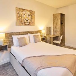 Host & Stay - Illumination Suite