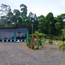 Tropical Crystal House، فندق في غوابيليس