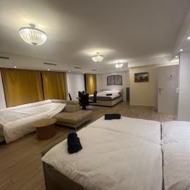 Central Living Brugg - View of Black Tower Apartment, ξενοδοχείο σε Brugg