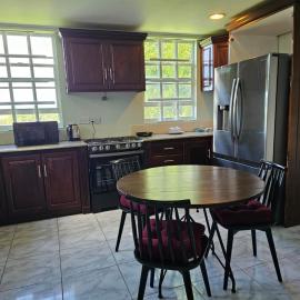 Modern 2-bedroom Apartment near Roseau