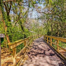 Dog-friendly Beachwood home in Omni Plantation with pool & beach access