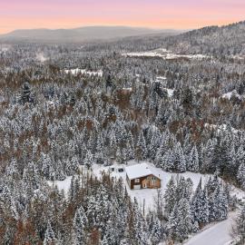 Private Forest Spa Retreat - Modern Chalet – hotel w mieście Chertsey