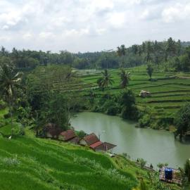 Live lombok homestay, hotell i Batukliang