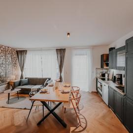 Exclusive penthouse apartment 5 with balcony & parking, hotel Viernheimben