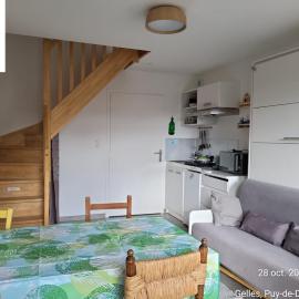 Gîte Terre - 1-4 pers, à 20 mins de Vulcania et du Puy-de-Dôme, 35 mins du Sancy – hotel w mieście Gelles