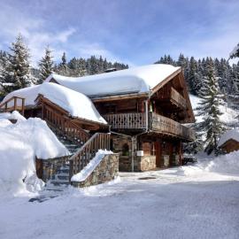 Appartement dans chalet aux saisies-100m des pistes-cœur station 13 pers