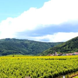 Panoramablick