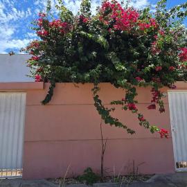 Casa Temporada Tropical、サン・マテウスのホテル