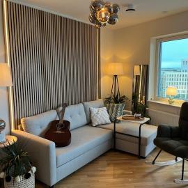 Cozy studio with view on Copenhagen
