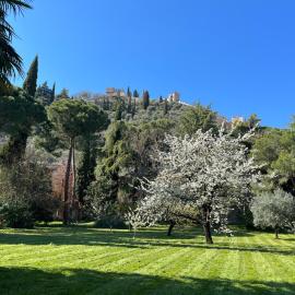 Casa delle Rose-Appartamento Inge