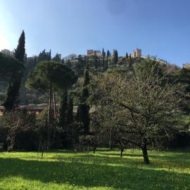Casa delle Rose - Appartamento Dagape