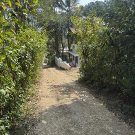 Hibisco Hideout, Hotel in Meenangadi