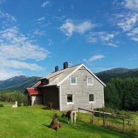 Llama Lodge Authentic Sunnfjord Adventure, hotell i Kleivane