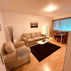 3-Room Apartment Up to 5 Guests Family Business Free WiFi Netflix Sky DAZN Disney Plus 1000 International TV Channels, hotel din Wynau