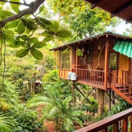 Tree House Mirissa, hotel en Mirissa