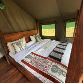 Tangi Elephant Camp