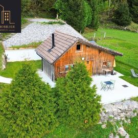 Petit chalet en bois avec mezzanine en montagne, hotel v mestu Marignier