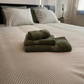 Parus major: Londerzeel şehrinde bir otel