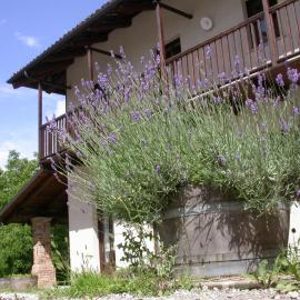 Cascina Creusa B&B
