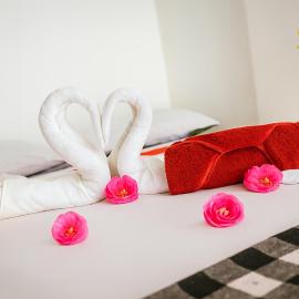 Green Shade Resort & Haritha Sewana Hotel