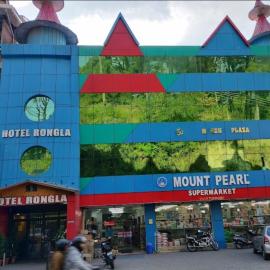 Hotel Rongla, hotel em Pālampur