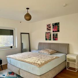 Lakeview Apartment 3 rooms, parking, independent