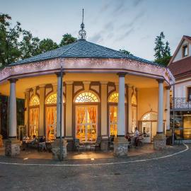 Goethe - Kupelne pobyty s procedurami v Liecebnych termalnych kupeloch, hotel di Sklené Teplice