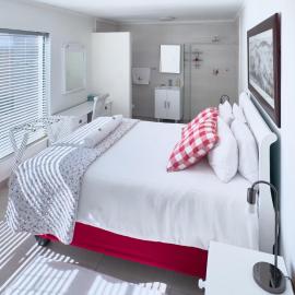 Pet Friendly Bartholomeus Diaz beach