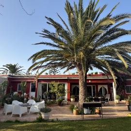 Domaine des Mimosas