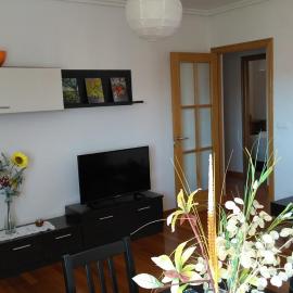 La Casa de Lines, hotel in Monforte de Lemos