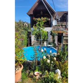 Gemütliches Ferienhaus mit Pool in Blankenburg