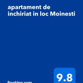 apartament de inchiriat in loc Moinesti, hotel Mojnesten