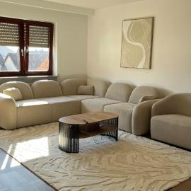 Modern apartment near Basel & airport