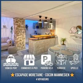 Cocon Mammesien - Cosy nest 150m from the Seine, hotel in Saint-Mammès